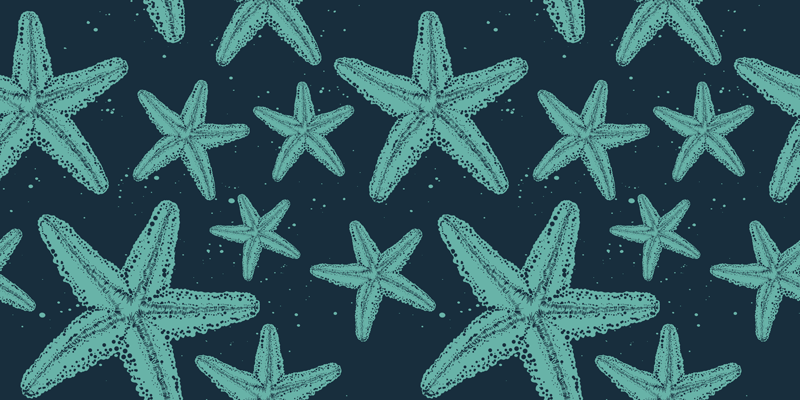 Vinyl teppich bad starfish blautöne möbel - TenStickers