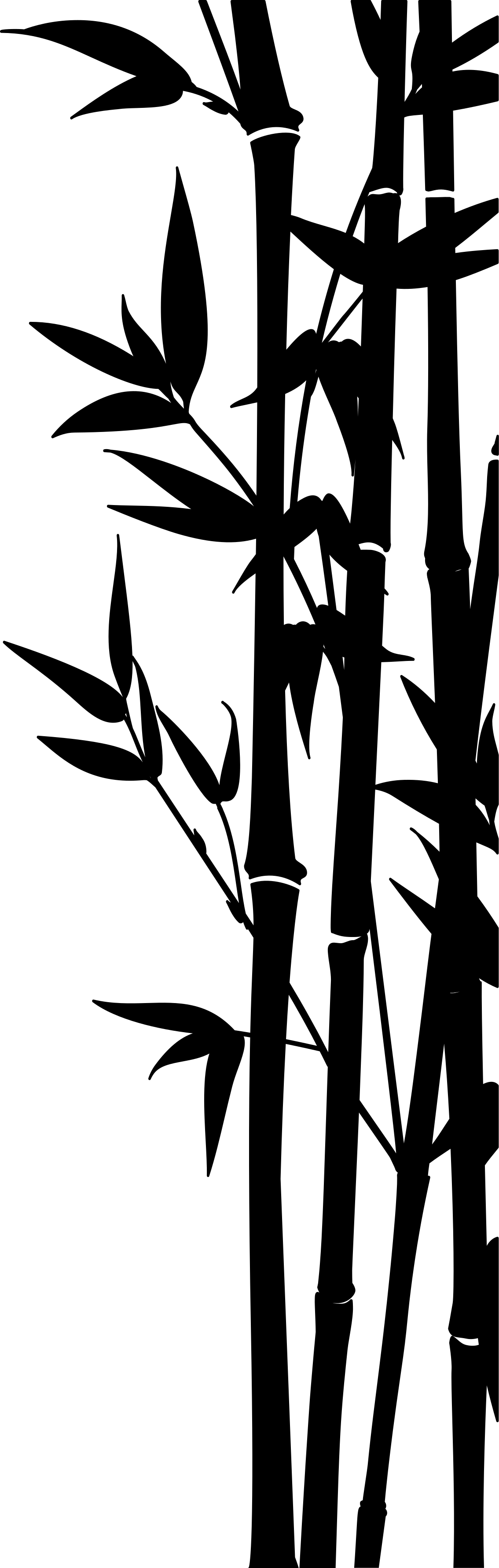 Vinyl teppich bad mit bambus duschabtrennung aufkleber - TenStickers