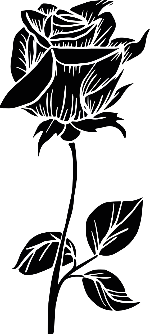 Vinyl teppich bad rose für duschabtrennung - TenStickers