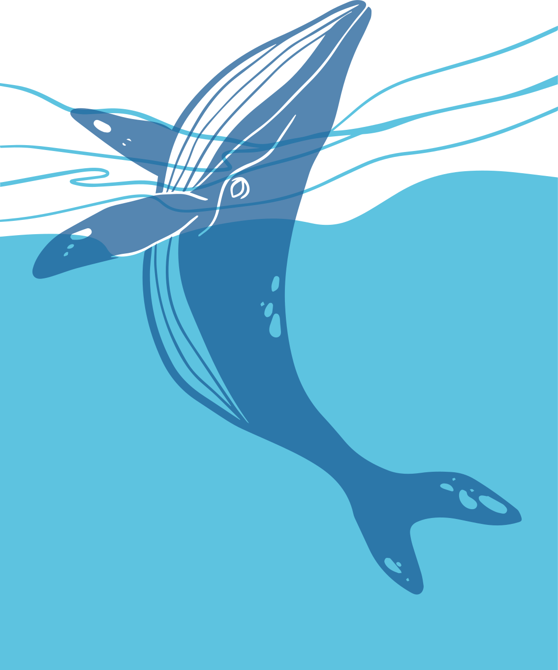 Vinyl teppich bad mit walfisch duschscreen aufklebern - TenStickers