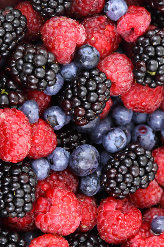 Vinyl teppich küche mit heidelbeeren muster - TenStickers