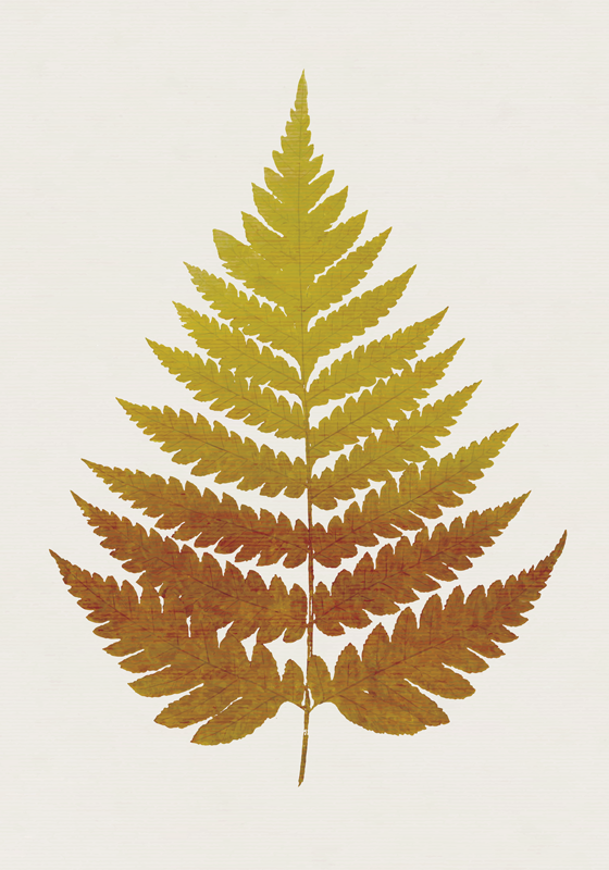 Vinyl teppich blumen mit goldenem farnblatt - TenStickers