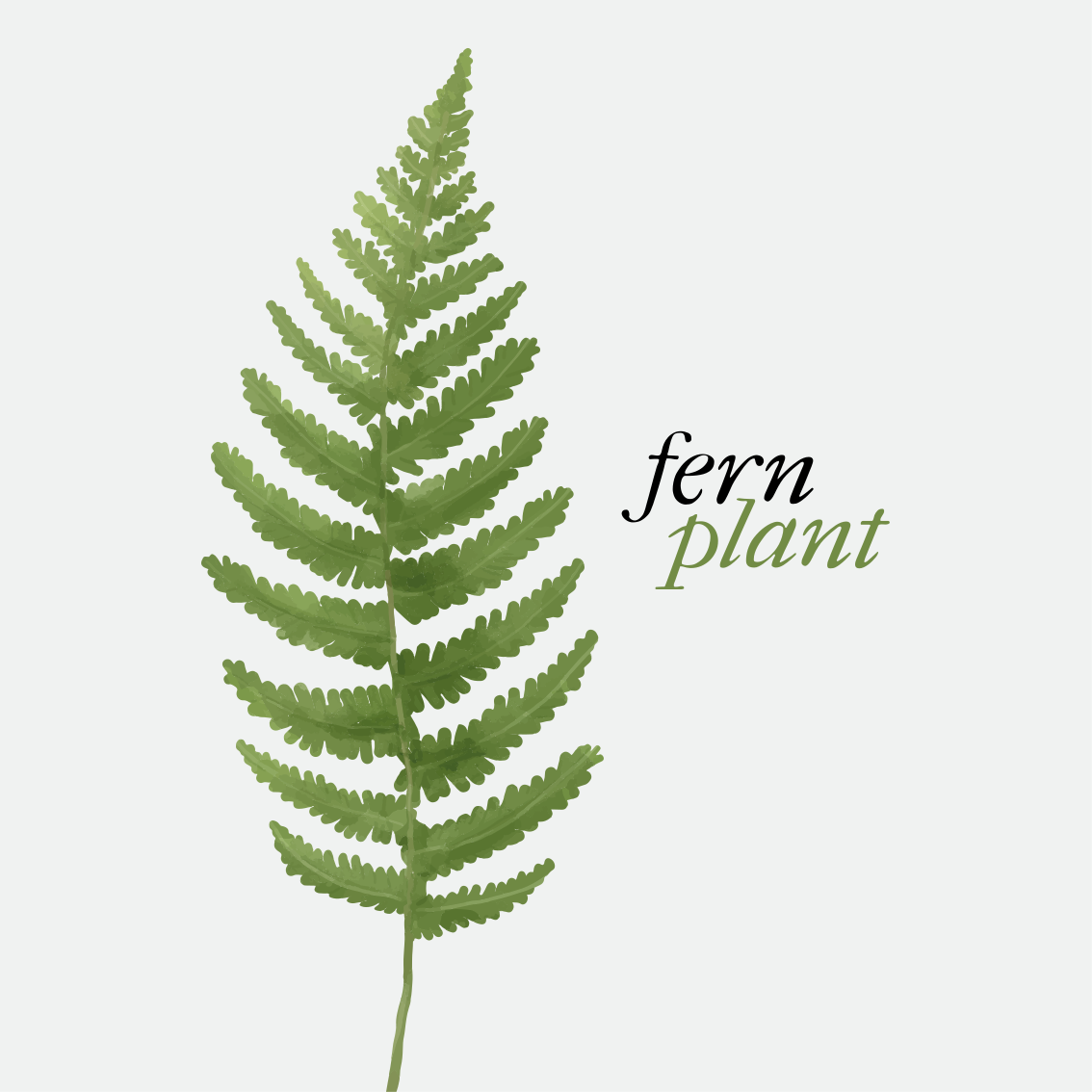 Vinyl teppich spruch fern pflanze minimalistischer stil - TenStickers
