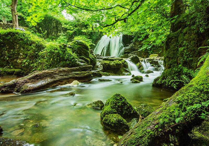 Vinyl teppich grün wasserfall der ruhe - TenStickers