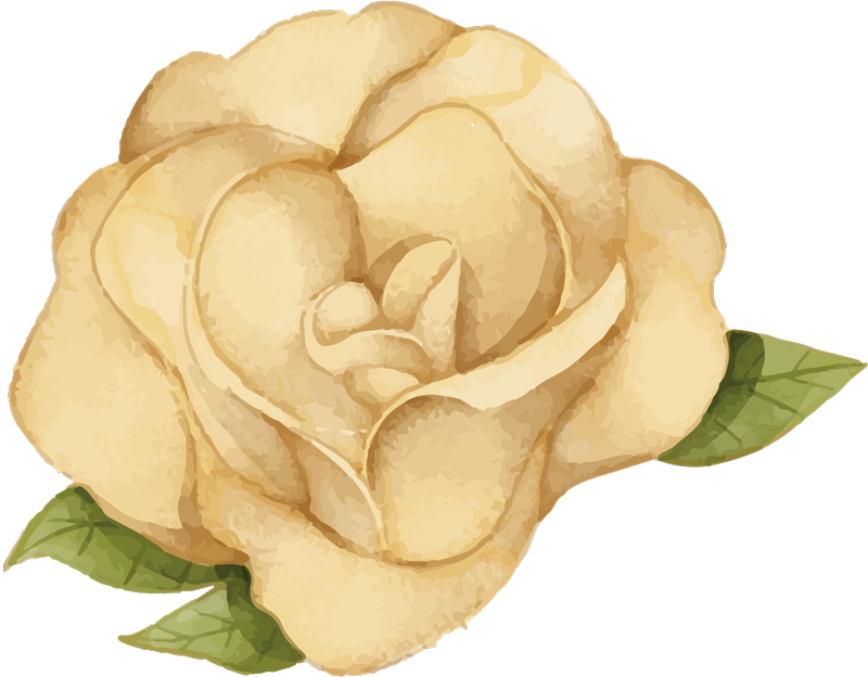 Vinyl Teppich Blumen blumenkontur - TenStickers