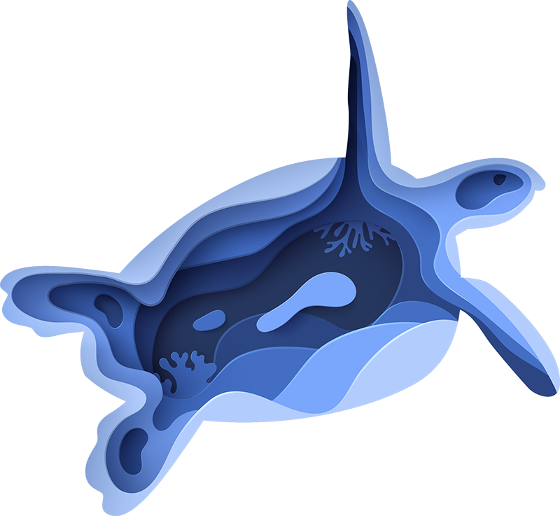 Vinyl Teppich Tiere form einer meeresschildkröte - TenStickers