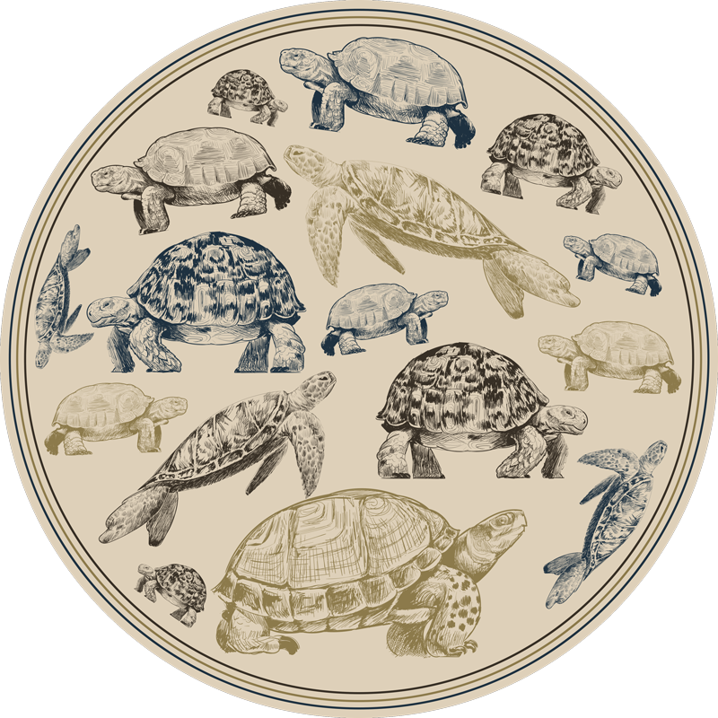 Vinyl Teppich Tiere schildkrötenillustrationen - TenStickers