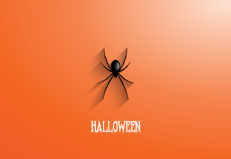 Vinyl teppich halloween mit spinne - TenStickers