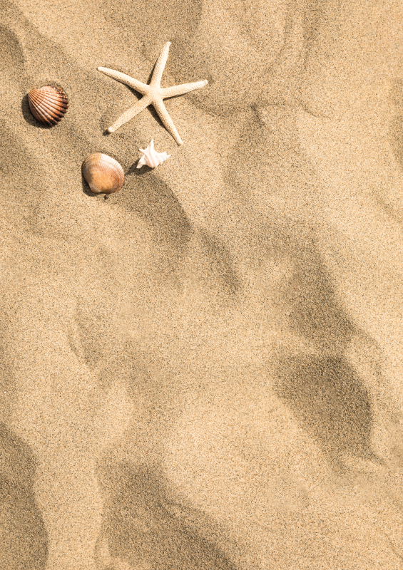 Vinyl Teppich Steine Sommer vibe Sand - TenStickers