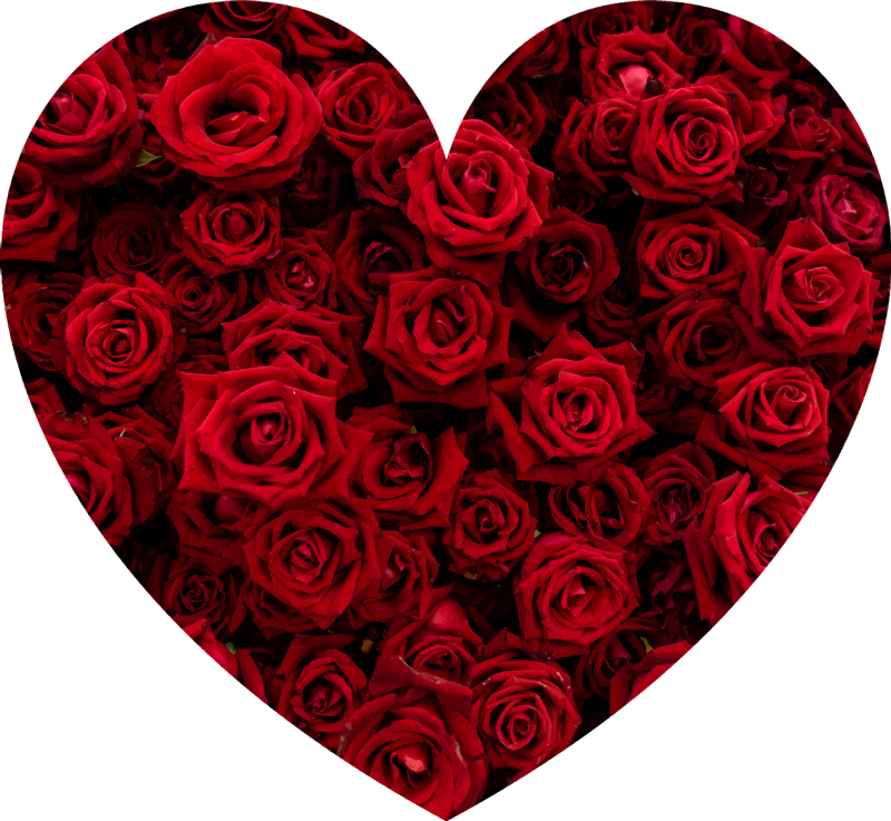 Vinyl Teppich Blumen herzförmige romantik - TenStickers