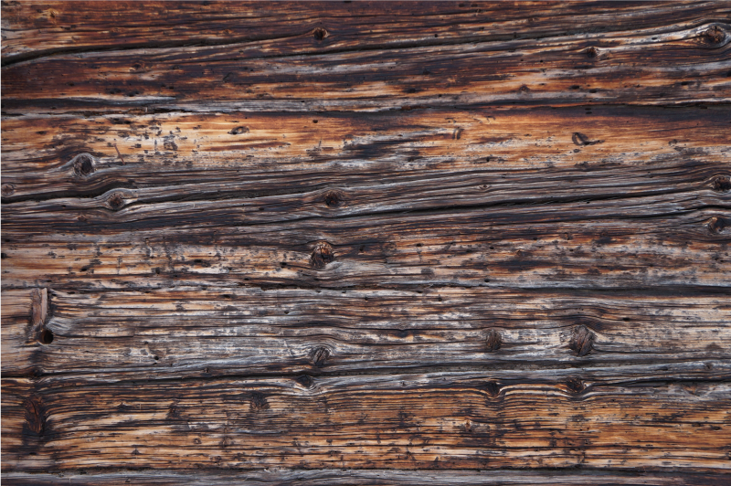 Vinylteppich Holzoptik Baumrinde - TenStickers