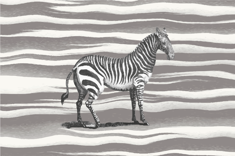 Vinyl Teppich Tiermuster zebrastreifen - TenStickers