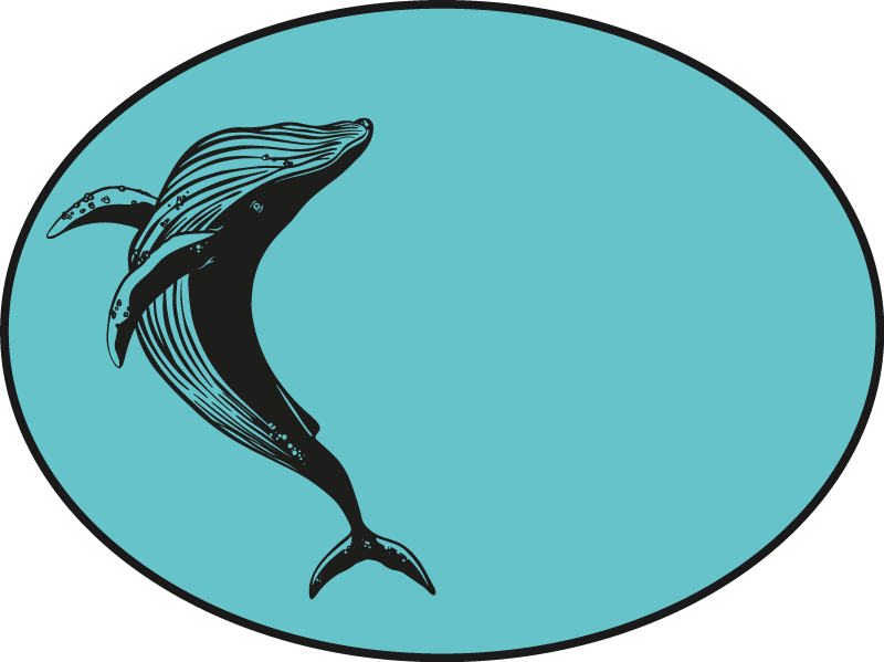 Vinyl Teppich Tiere majestätisches walmotiv - TenStickers