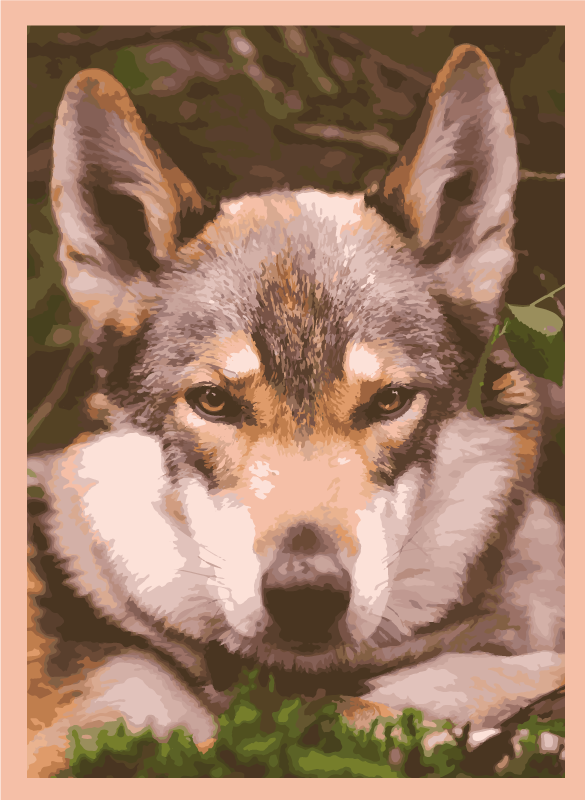 Vinyl Teppich Tiere wolfskopf-design - TenStickers