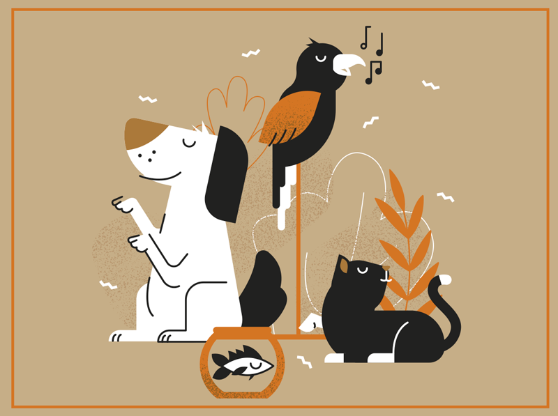 Vinyl Teppich Tiere beige haustierillustration - TenStickers