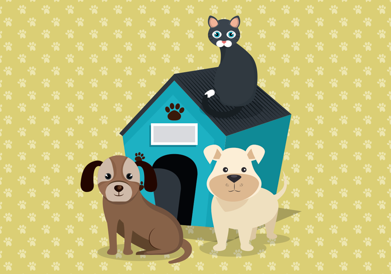 Vinyl Teppich Tiere hunde zu hause - TenStickers