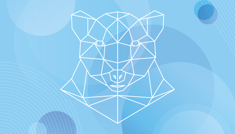 Vinyl Teppich Tiere geometrischer bärenumriss - TenStickers