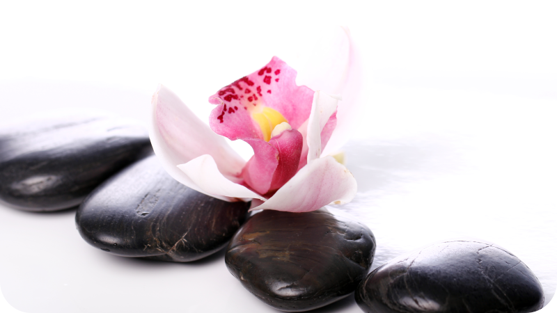 Vinyl Teppich Natur elegante florale gelassenheit - TenStickers