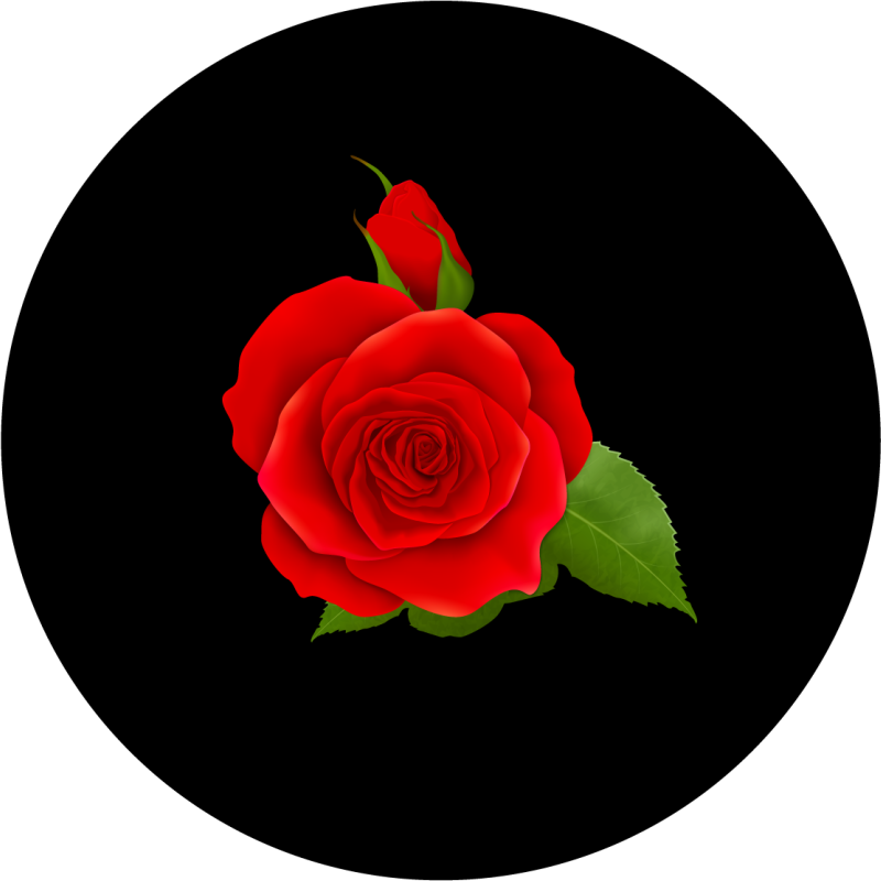Vinyl Teppich Blumen rote rose freude - TenStickers