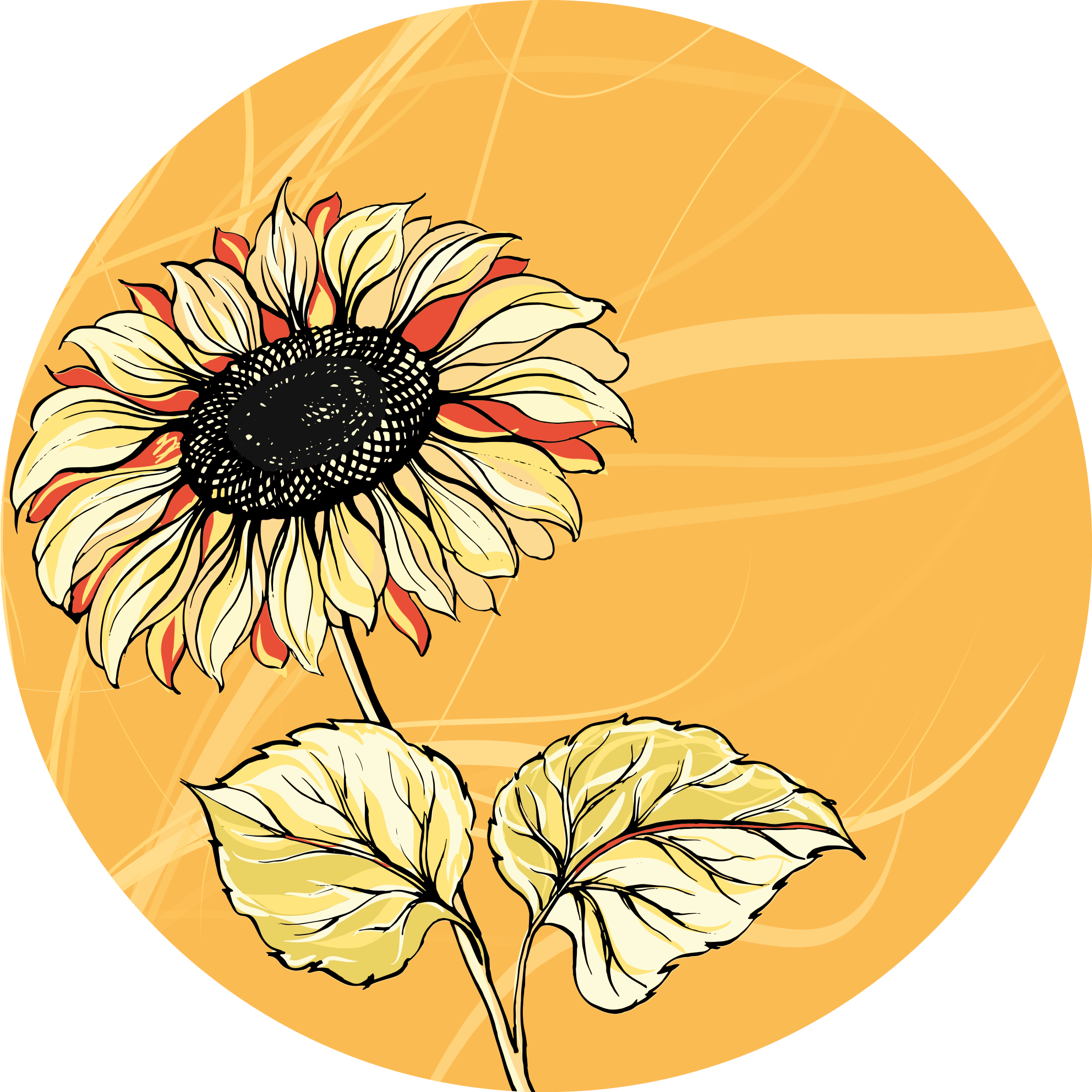 Vinyl Teppich Blumen leuchtende sonnenblumenblüte - TenStickers