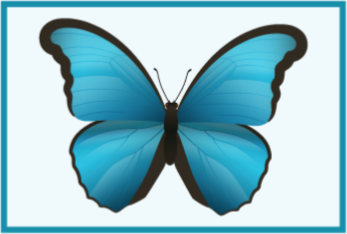 Vinyl Teppich Tiere blauer schmetterling - TenStickers