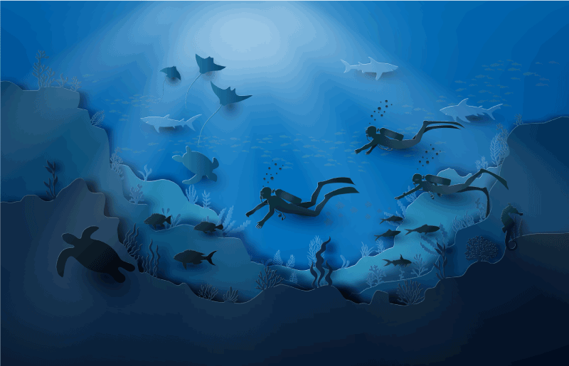 Vinyl Teppich Natur unterwassererkundung - TenStickers