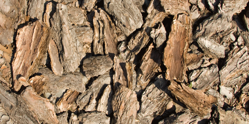 Vinylteppich Holzoptik natürliches rindendesign - TenStickers