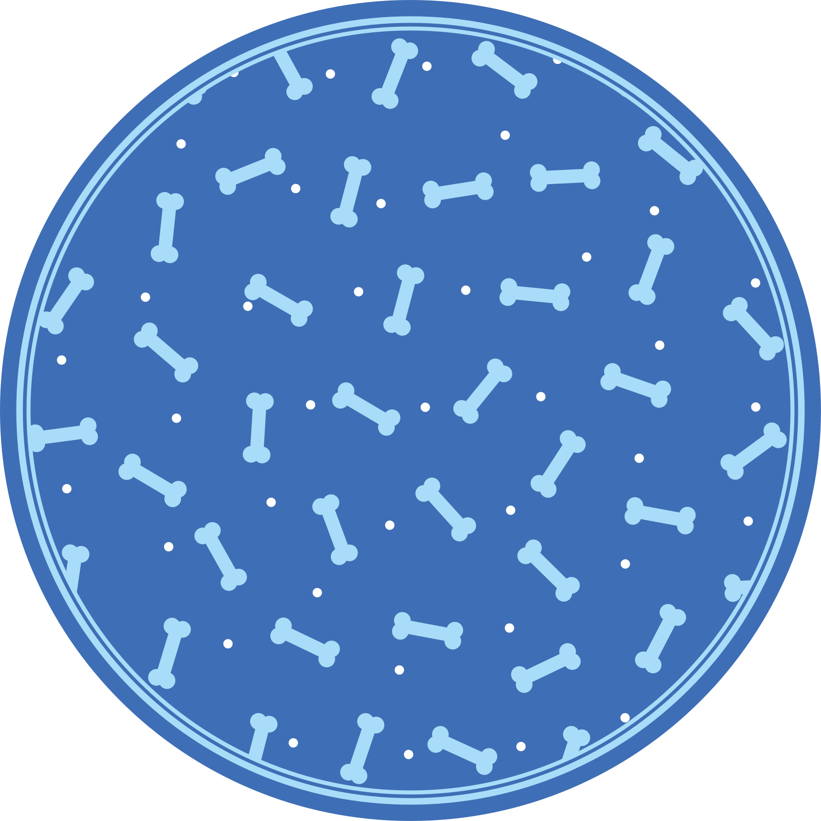 Vinyl Teppich rund knochenmusterspiel - TenStickers