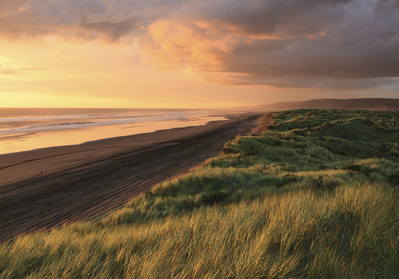 Vinyl Teppich Natur sonnenuntergang am strand - TenStickers