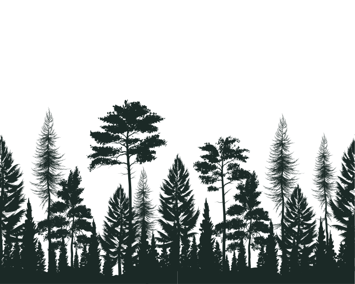 Vinyl Teppich Natur Wald Silhouette - TenStickers
