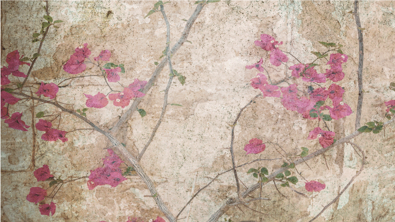 Vinyl Teppich Blumen blütenzweig-overlay - TenStickers