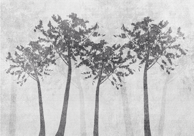 Vinyl Teppich Natur waldsilhouette - TenStickers