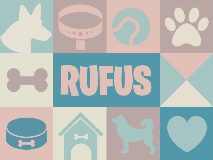 Vinylteppich Tiere Hundematte mit Name - TenStickers