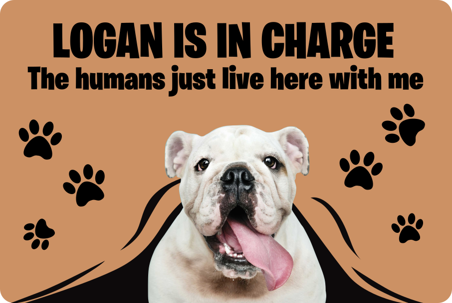 Vinylteppich Diele Foto von Haustier - TenStickers