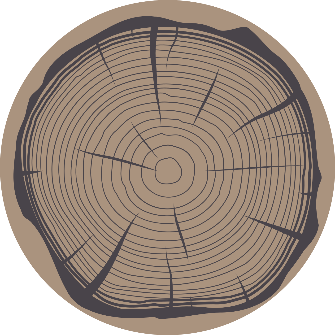 Vinylteppich Natur Baumstamm Optik - TenStickers