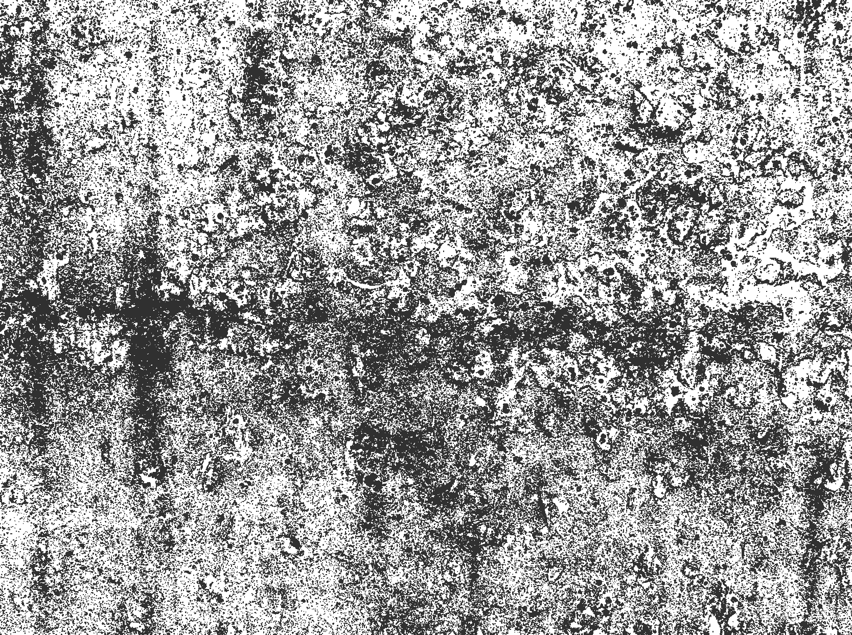 Vinyl Teppich Esszimmer verblasstes Grau - TenStickers