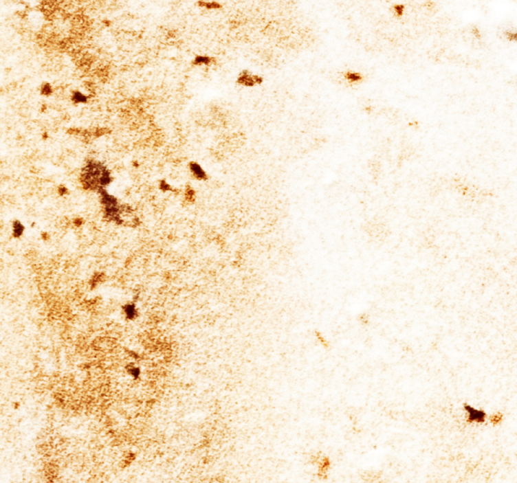 Marmor tapete natürliche stein Ästhetik - TenStickers