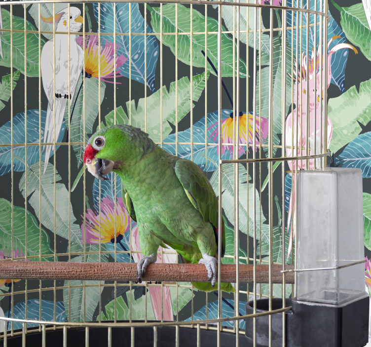 Tapete Natur tropische Vögel und Blätter - TenStickers