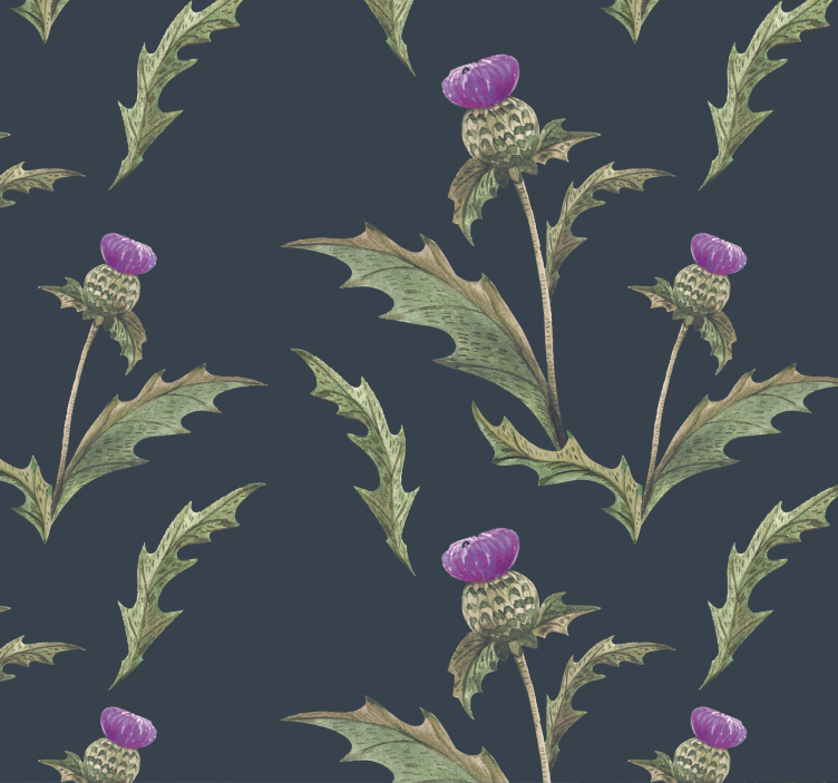 Tapete Natur violette schottische Distel - TenStickers